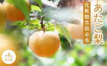 梨&nbsp;2026年&nbsp;&nbsp;あたご梨&nbsp;3～9玉&nbsp;合計約4kg&nbsp;化粧贈答箱赤秀【ナシ&nbsp;なし&nbsp;岡山県産&nbsp;国産&nbsp;フルーツ&nbsp;果物&nbsp;ギフト&nbsp;石原果樹園】
