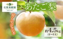 梨 2024年 先行予約 あたご梨 4～6玉 合計約4.5kg 贈答箱 ナシ なし 岡山県産 国産 フルーツ 果物 ギフト 石原果樹園