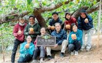 梨 2024年 先行予約 鴨梨（ヤーリー）5～7玉 約3kg 贈答箱 ナシ なし 岡山県産 国産 フルーツ 果物 ギフト 石原果樹園