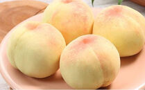 桃&nbsp;2026年6月下旬から発送&nbsp;ご家庭用&nbsp;岡山の&nbsp;白桃（早生、中生種）約1.3kg&nbsp;4～6玉&nbsp;もも&nbsp;モモ&nbsp;フルーツ&nbsp;果物&nbsp;岡山市&nbsp;一宮地区産&nbsp;国産&nbsp;赤木農園