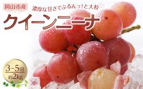 ぶどう 2025年 先行予約 クイーンニーナ 3～5房 合計約2kg 種無し ブドウ 葡萄 岡山市産 国産 フルーツ 果物 渡邊農園