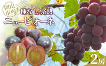 ぶどう2026年&nbsp;種なし完熟&nbsp;ニューピオーネ&nbsp;2房&nbsp;岡山市産&nbsp;渡邊農園