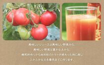 有機JAS認証 有機栽培トマトジュース ゆうきくん190g×20缶_02078