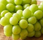 ぶどう&nbsp;2026年&nbsp;&nbsp;シャイン&nbsp;マスカット&nbsp;1房&nbsp;約700g&nbsp;マスカット&nbsp;ブドウ&nbsp;葡萄&nbsp;&nbsp;岡山市産&nbsp;&nbsp;国産&nbsp;フルーツ&nbsp;果物&nbsp;ギフト　