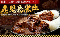 横濱上田屋謹製　肉屋のこだわり牛スジカレー8個（調理済み）