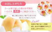 桃&nbsp;2026年&nbsp;贈答用&nbsp;岡山&nbsp;白桃&nbsp;&nbsp;約2kg（5～7玉）【白桃&nbsp;桃&nbsp;モモ&nbsp;岡山県&nbsp;岡山市産&nbsp;国産&nbsp;フルーツ&nbsp;果物&nbsp;ギフト&nbsp;新鮮&nbsp;おすすめ&nbsp;人気&nbsp;贈答品】