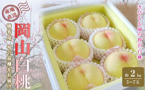 桃&nbsp;2026年&nbsp;贈答用&nbsp;岡山&nbsp;白桃&nbsp;&nbsp;約2kg（5～7玉）【白桃&nbsp;桃&nbsp;モモ&nbsp;岡山県&nbsp;岡山市産&nbsp;国産&nbsp;フルーツ&nbsp;果物&nbsp;ギフト&nbsp;新鮮&nbsp;おすすめ&nbsp;人気&nbsp;贈答品】