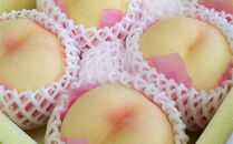 桃 2026年 贈答用 岡山 清水 白桃  約2kg（5～7玉） 【白桃 桃 モモ 岡山県 岡山市産 国産 フルーツ 果物 ギフト 新鮮 おすすめ 人気 贈答品】