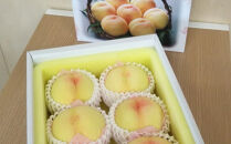 桃 2026年 贈答用 岡山 清水 白桃  約2kg（5～7玉） 【白桃 桃 モモ 岡山県 岡山市産 国産 フルーツ 果物 ギフト 新鮮 おすすめ 人気 贈答品】