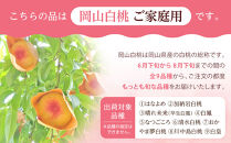 桃&nbsp;2026年&nbsp;ご家庭用&nbsp;岡山&nbsp;白桃&nbsp;&nbsp;約2kg（5～10玉）【白桃&nbsp;桃&nbsp;モモ&nbsp;岡山県&nbsp;岡山市産&nbsp;国産&nbsp;フルーツ&nbsp;果物&nbsp;新鮮&nbsp;おすすめ&nbsp;人気】