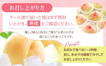 桃&nbsp;2026年&nbsp;ご家庭用&nbsp;岡山&nbsp;白桃&nbsp;&nbsp;約2kg（5～10玉）【白桃&nbsp;桃&nbsp;モモ&nbsp;岡山県&nbsp;岡山市産&nbsp;国産&nbsp;フルーツ&nbsp;果物&nbsp;新鮮&nbsp;おすすめ&nbsp;人気】