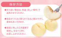 桃&nbsp;2026年&nbsp;ご家庭用&nbsp;岡山&nbsp;白桃&nbsp;&nbsp;約2kg（5～10玉）【白桃&nbsp;桃&nbsp;モモ&nbsp;岡山県&nbsp;岡山市産&nbsp;国産&nbsp;フルーツ&nbsp;果物&nbsp;新鮮&nbsp;おすすめ&nbsp;人気】