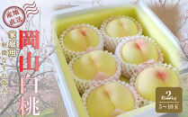 桃&nbsp;2026年&nbsp;ご家庭用&nbsp;岡山&nbsp;白桃&nbsp;&nbsp;約2kg（5～10玉）【白桃&nbsp;桃&nbsp;モモ&nbsp;岡山県&nbsp;岡山市産&nbsp;国産&nbsp;フルーツ&nbsp;果物&nbsp;新鮮&nbsp;おすすめ&nbsp;人気】