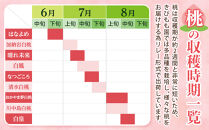 桃&nbsp;2027年&nbsp;ご家庭用&nbsp;岡山&nbsp;白桃&nbsp;&nbsp;約2kg（5～10玉）【白桃&nbsp;桃&nbsp;モモ&nbsp;岡山県&nbsp;岡山市産&nbsp;国産&nbsp;フルーツ&nbsp;果物&nbsp;新鮮&nbsp;おすすめ&nbsp;人気】