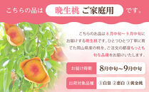 固めの&nbsp;桃&nbsp;&nbsp;2026年&nbsp;ご家庭用&nbsp;岡山&nbsp;の&nbsp;桃&nbsp;晩生種&nbsp;約2kg（5～9玉）（黄金桃の場合もあります）&nbsp;【家庭用&nbsp;白桃&nbsp;桃&nbsp;モモ&nbsp;岡山県&nbsp;岡山市産&nbsp;国産&nbsp;フルーツ&nbsp;果物&nbsp;新鮮&nbsp;おすすめ&nbsp;人気】