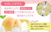 固めの&nbsp;桃&nbsp;&nbsp;2026年&nbsp;ご家庭用&nbsp;岡山&nbsp;の&nbsp;桃&nbsp;晩生種&nbsp;約2kg（5～9玉）（黄金桃の場合もあります）&nbsp;【家庭用&nbsp;白桃&nbsp;桃&nbsp;モモ&nbsp;岡山県&nbsp;岡山市産&nbsp;国産&nbsp;フルーツ&nbsp;果物&nbsp;新鮮&nbsp;おすすめ&nbsp;人気】