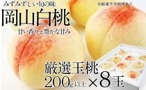 CN19【先行予約】岡山の白桃200ｇ×8玉【晴れの国 岡山 岡山県産 フルーツ王国 果物王国 桃 岡山白桃 岡山の白桃 白桃 旬 みずみずしい 岡山県 倉敷市 おすすめ 人気】