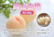 【8月お届け】岡山白桃2kg（6～10玉）