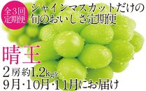 CN26　定期便　シャインマスカット晴王2房（1.2kg）［２０２３年先行予約］【岡山県産 種無し 皮ごと食べる みずみずしい 甘い フレッシュ 瀬戸内 晴れの国 おかやま 果物大国 岡山県 倉敷市 おすすめ 人気】