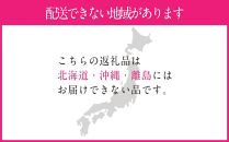 CN26　定期便　シャインマスカット晴王2房（1.2kg）［２０２３年先行予約］【岡山県産 種無し 皮ごと食べる みずみずしい 甘い フレッシュ 瀬戸内 晴れの国 おかやま 果物大国 岡山県 倉敷市 おすすめ 人気】