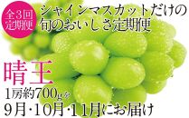 CN29　定期便　シャインマスカット晴王　1房（700g）［２０２３年先行予約］【岡山県産 種無し 皮ごと食べる みずみずしい 甘い フレッシュ 瀬戸内 晴れの国 おかやま 果物大国 岡山県 倉敷市 おすすめ 人気】