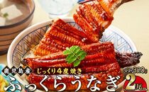 うなぎ 蒲焼 160g×2尾【鹿児島産】地下水で育てた絶品鰻