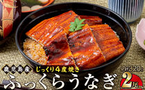 うなぎ&nbsp;蒲焼&nbsp;160g×2尾【鹿児島産】地下水で育てた絶品鰻