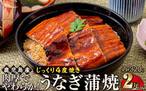 うなぎ&nbsp;蒲焼&nbsp;160g×2尾【鹿児島産】地下水で育てた絶品鰻