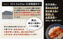 うなぎ 蒲焼 160g×3尾【鹿児島産】地下水で育てた絶品鰻