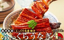 うなぎ 蒲焼 160g×4尾【鹿児島産】地下水で育てた絶品鰻