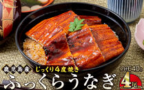 うなぎ&nbsp;蒲焼&nbsp;160g×4尾【鹿児島産】地下水で育てた絶品鰻