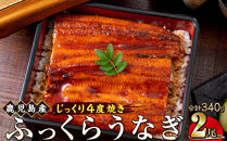 うなぎ&nbsp;蒲焼&nbsp;170g×2尾【鹿児島産】地下水で育てた絶品鰻