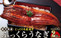うなぎ&nbsp;蒲焼&nbsp;200g×2尾【鹿児島産】地下水で育てた絶品鰻