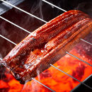 うなぎ&nbsp;蒲焼&nbsp;200g×2尾【鹿児島産】地下水で育てた絶品鰻