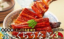 鹿児島県大隅産 千歳鰻のホクホク鰻の焼おにぎり・鰻巻セット | JTBの