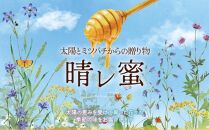 【鹿児島県大崎町産】希少種 日本ミツバチの「はちみつ」600g