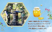 【鹿児島県大崎町産】希少種 日本ミツバチの「はちみつ」600g