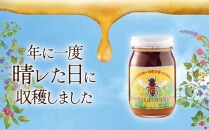 【鹿児島県大崎町産】希少種 日本ミツバチの「はちみつ」600g