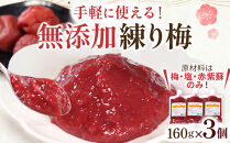 無添加&nbsp;練り梅&nbsp;160g&nbsp;×&nbsp;3個&nbsp;手作り&nbsp;梅干&nbsp;梅干し&nbsp;うめぼし&nbsp;うめ干し&nbsp;塩分&nbsp;15%&nbsp;〜&nbsp;18%&nbsp;すっぱい&nbsp;熱中症対策&nbsp;お試し&nbsp;お取り寄せ&nbsp;国産&nbsp;人気&nbsp;おすすめ&nbsp;宮城