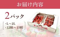 まりひめイチゴ L～２L 12粒～15粒×2パック【2025年1月初旬から発送】【先行販売】【KG7】