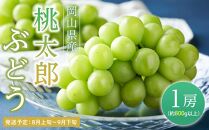 ぶどう 2025年 先行予約 桃太郎 ぶどう 1房（1房800g以上） ブドウ 葡萄  岡山県産 国産 フルーツ 果物 ギフト