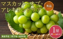 ぶどう&nbsp;2026年&nbsp;秀品&nbsp;マスカット&nbsp;・オブ・アレキサンドリア&nbsp;&nbsp;1房550g以上&nbsp;マスカット&nbsp;ブドウ&nbsp;葡萄&nbsp;&nbsp;岡山県産&nbsp;国産&nbsp;フルーツ&nbsp;果物&nbsp;ギフト