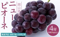 ぶどう 2025年 先行予約 ニュー ピオーネ 4房（合計約2kg） ブドウ 葡萄  岡山県産 国産 フルーツ 果物 ギフト