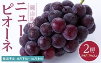 ぶどう 2024年 先行予約 ニュー ピオーネ 2房（合計約1.1kg） ブドウ 葡萄  岡山県産 国産 フルーツ 果物 ギフト 