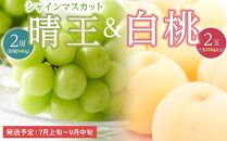 桃 ぶどう 2025年 先行予約 白桃 2玉（1玉200g以上） シャイン マスカット 『晴王』2房（合計約940g）詰合せ もも 葡萄 岡山県産 国産 フルーツ 果物 ギフト