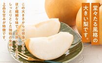 梨 2024年 先行予約 あたご梨 2玉（1玉約750g）合計約1.5kg なし ナシ 岡山県産 国産 フルーツ 果物 ギフト 