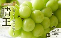 ぶどう 2025年 先行予約 シャイン マスカット 晴王 2房（1房600g以上） ブドウ 葡萄  岡山県産 国産 フルーツ 果物 ギフト