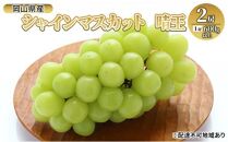 ぶどう&nbsp;2026年&nbsp;&nbsp;シャイン&nbsp;マスカット&nbsp;晴王&nbsp;2房（1房600g以上）&nbsp;|&nbsp;シャインマスカット&nbsp;シャイン&nbsp;マスカット&nbsp;果物&nbsp;フルーツ&nbsp;新鮮&nbsp;ブドウ&nbsp;葡萄&nbsp;&nbsp;岡山&nbsp;国産&nbsp;ギフト&nbsp;おすすめ&nbsp;人気