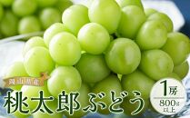 ぶどう 2025年 先行予約 桃太郎 ぶどう 1房800g以上 ブドウ 葡萄  岡山県産 国産 フルーツ 果物 ギフト