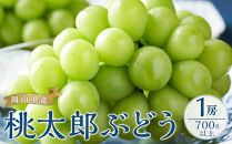 ぶどう 2025年 先行予約 桃太郎 ぶどう 1房700g以上 ブドウ 葡萄  岡山県産 国産 フルーツ 果物 ギフト